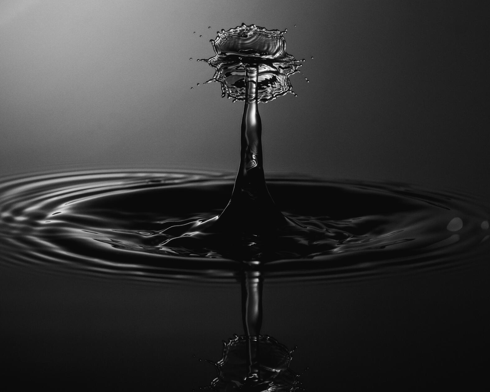 Reflection in Motion